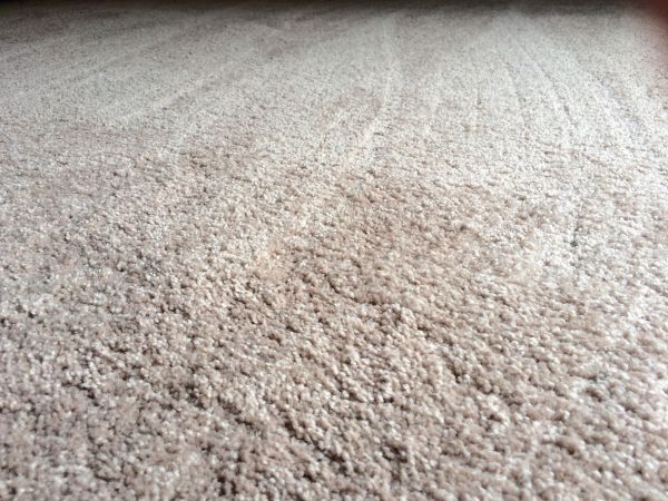 Plush Carpet Installation in Temecula