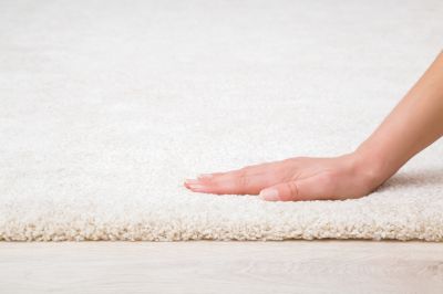Fall Carpet Maintenance