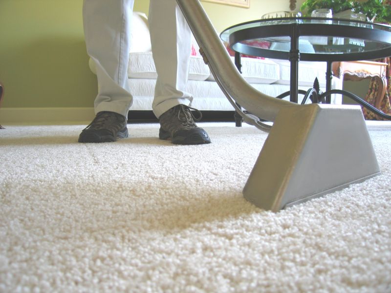 Professional Carpet Cleaners